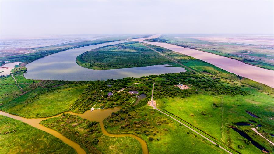 Central China's Wuhan to run for int'l wetland city