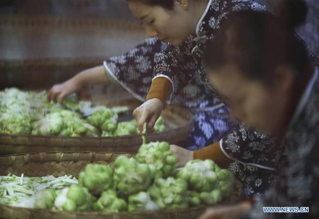 Women cut stem mustard to produce pickle at a workshop in southwest China's Chongqing, Feb. 22, 2019. [Photo: Xinhua]